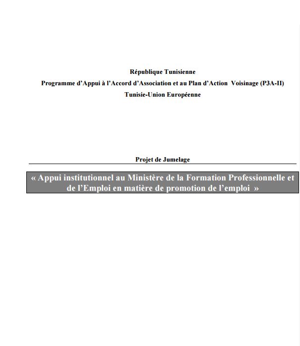 Appui institutionnel au Ministère de la Formation Professionnelle et de l’Emploi en matière de promotion de l’emploi